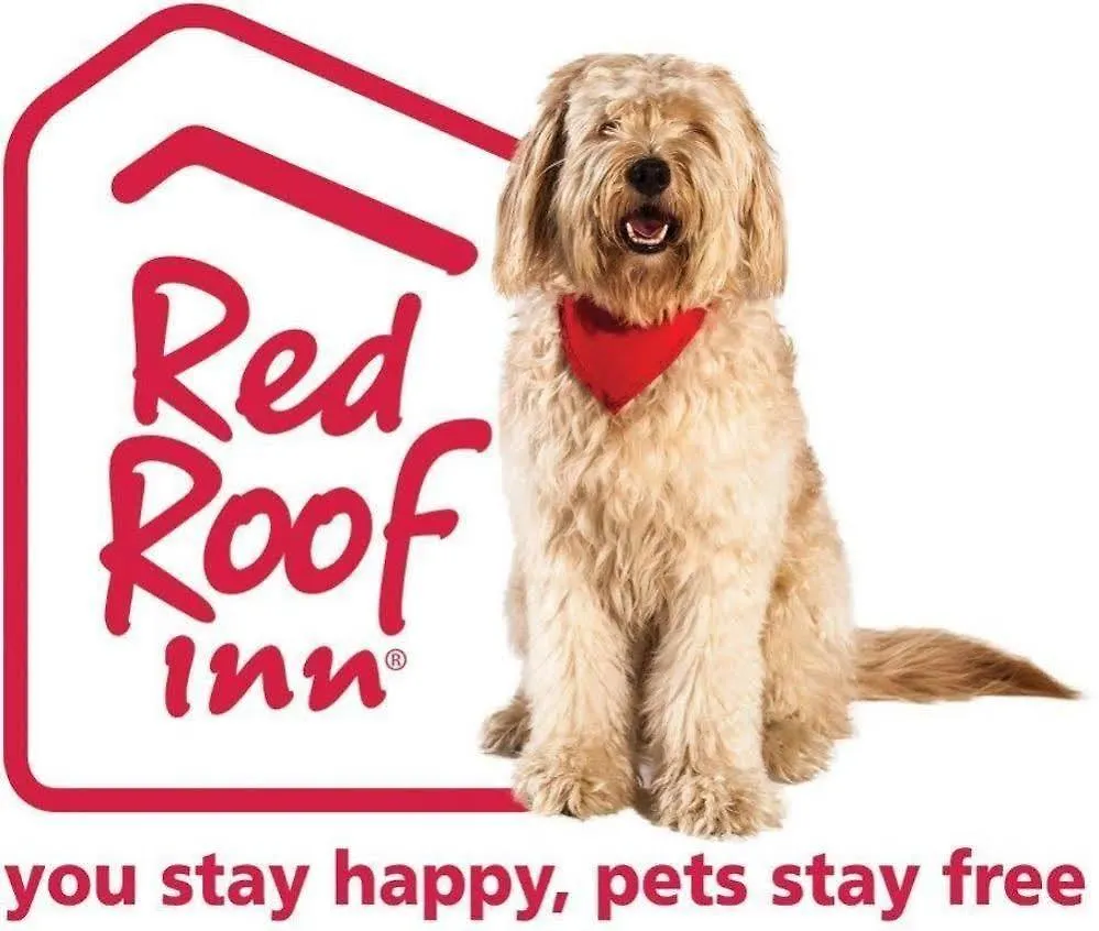 Red Roof Inn Phoenix North - I-17 At Bell Rd Motel